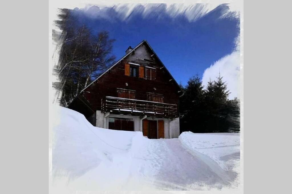 Authentique Chalet Vue Sur Le Lac Et Les Pistes Besse-et-Saint-Anastaise Luaran gambar